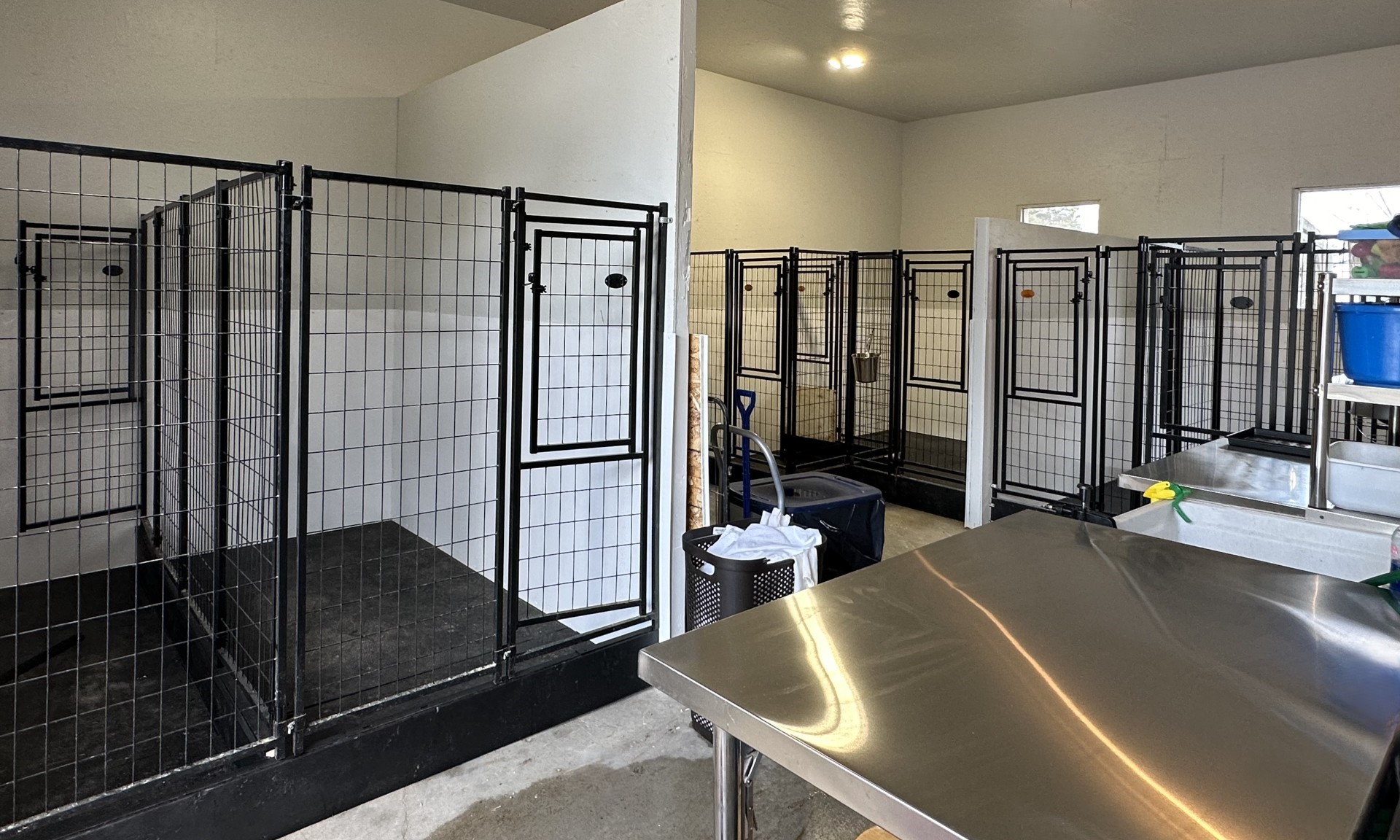 Une nouvelle pouponnière pour nos chiots de 4 sem. et + - Nadir Labrador