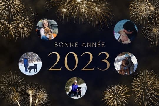 Bonne Année 2023! - Nadir Labrador